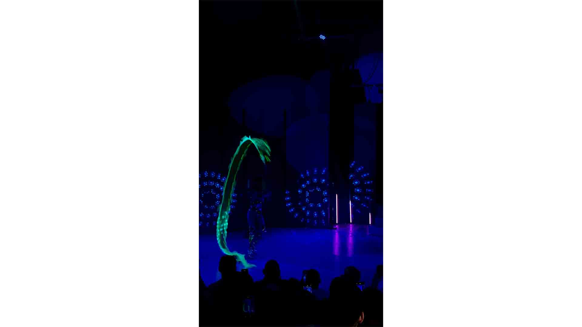 carpageodesica_0057_3993007b-7b15-45bf-a6a2-7f772b3d4471